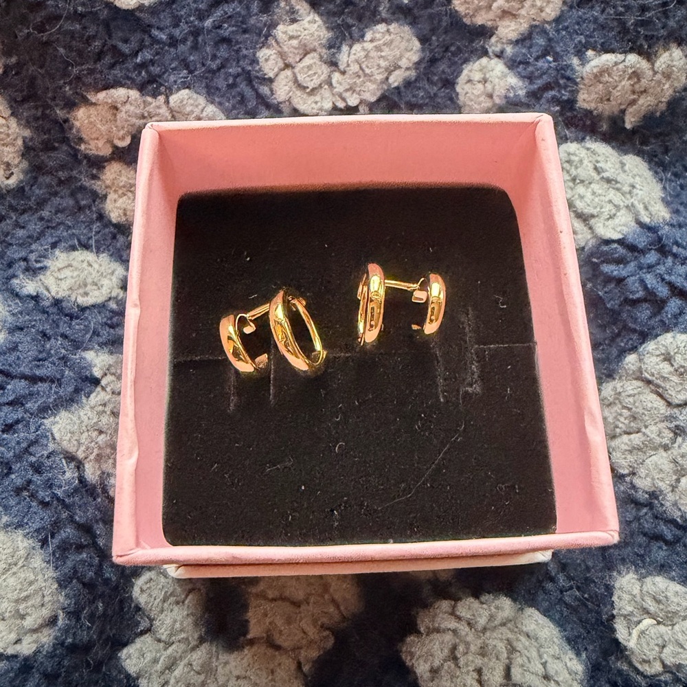Pandora Double Gold Hoop Earrings